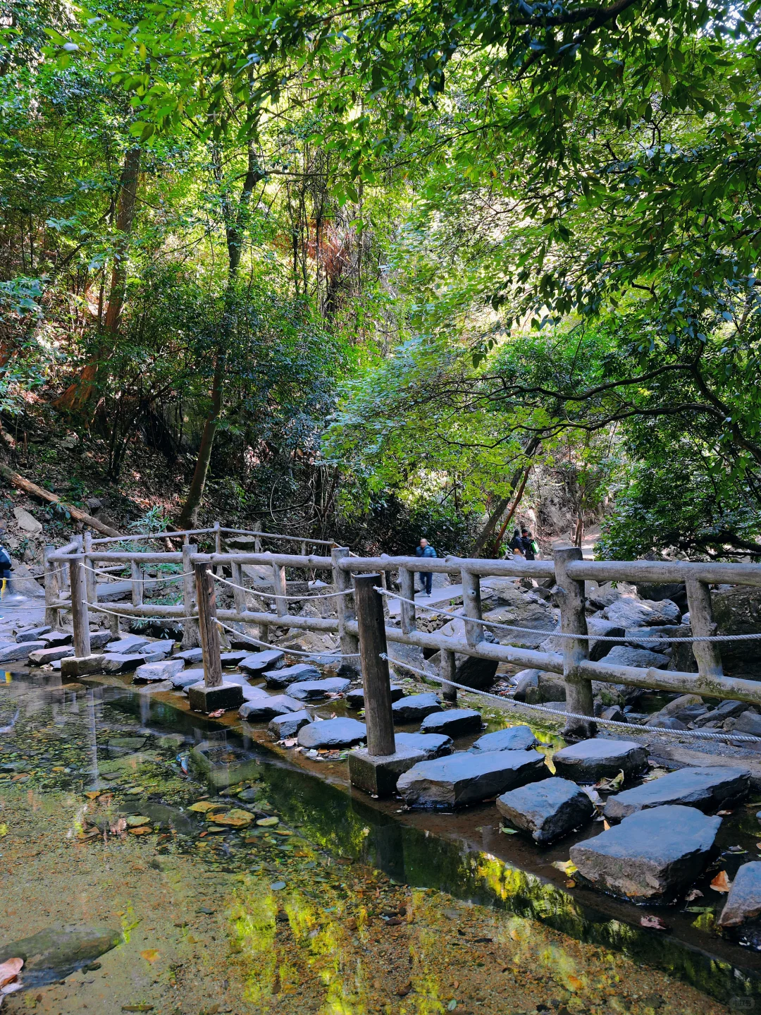 肇庆鼎湖山真的美到我心巴上了（省钱攻略！）