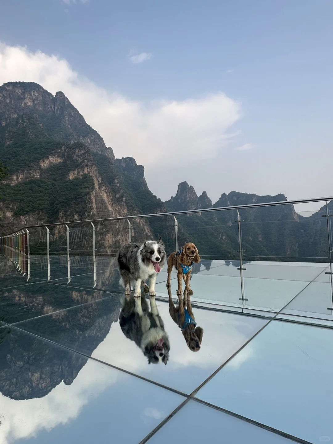 北京房山带狗景区-十渡东湖港景区