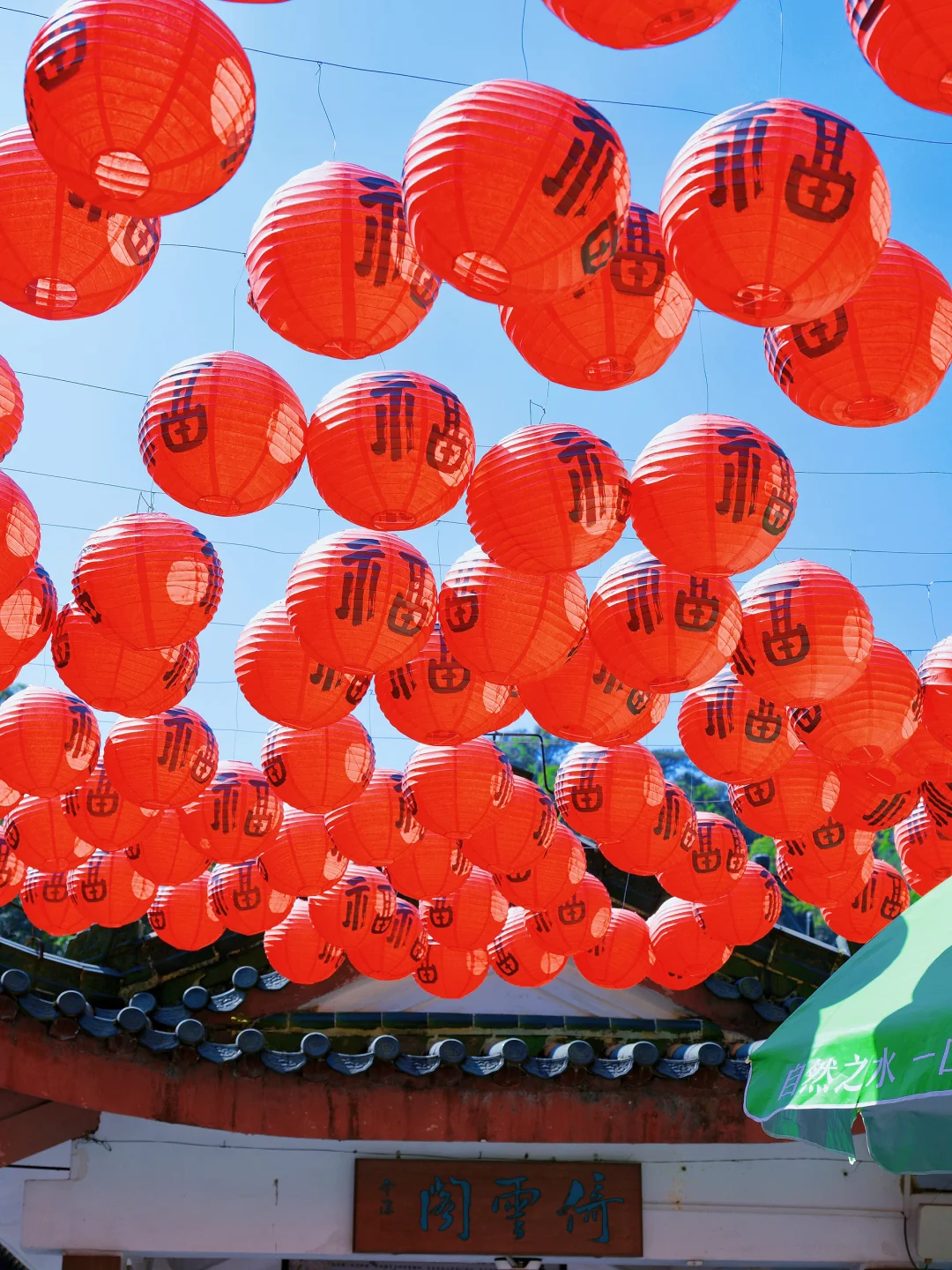 肇庆鼎湖山真的美到我心巴上了（省钱攻略！）