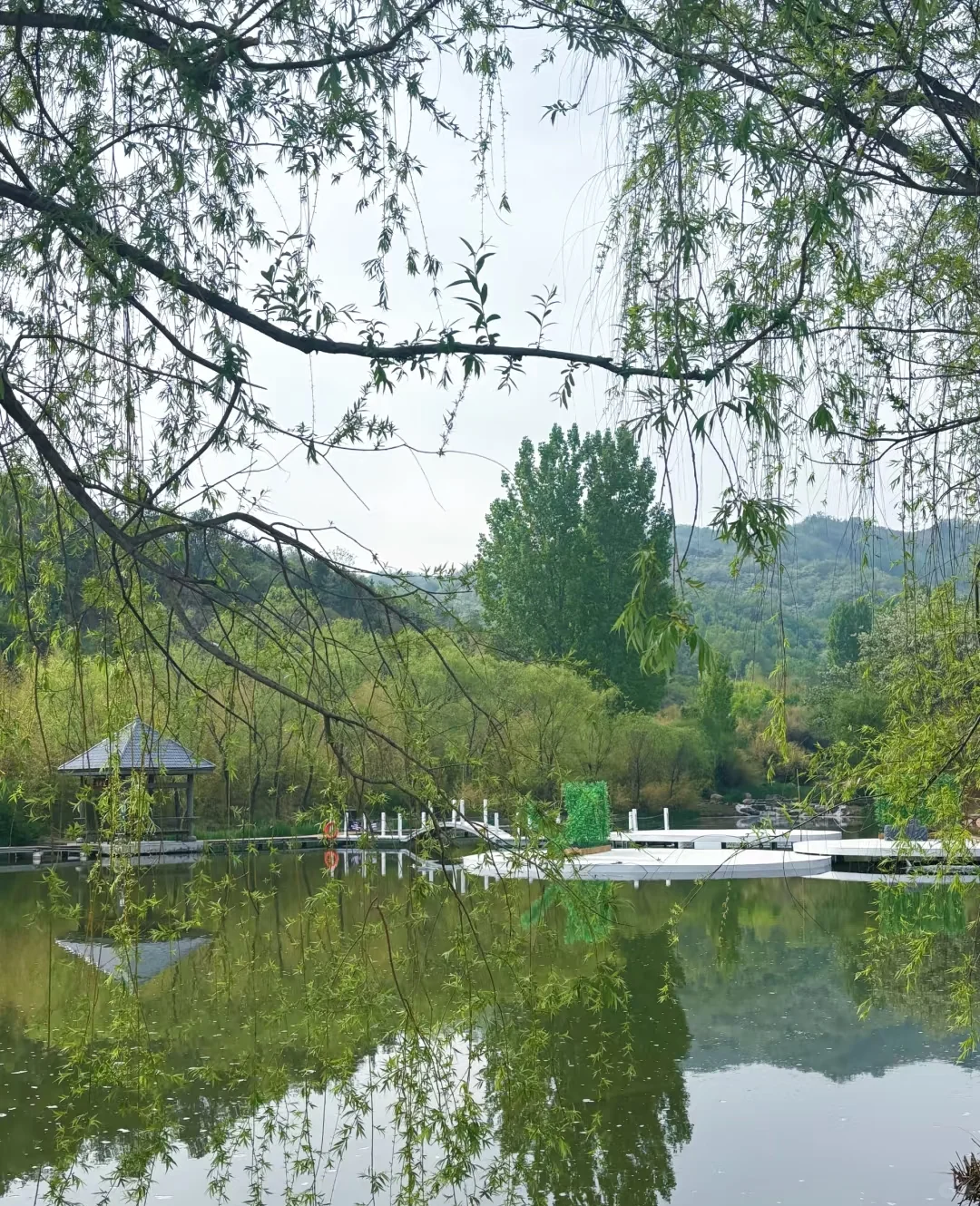 这颜值绝了,谁拍谁好看!📸📷