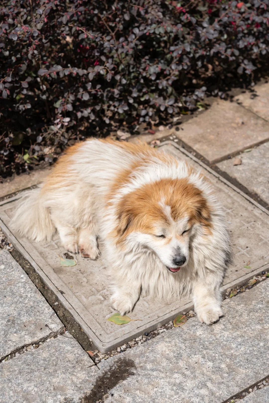 🥺又在江西见世面的一天。。。