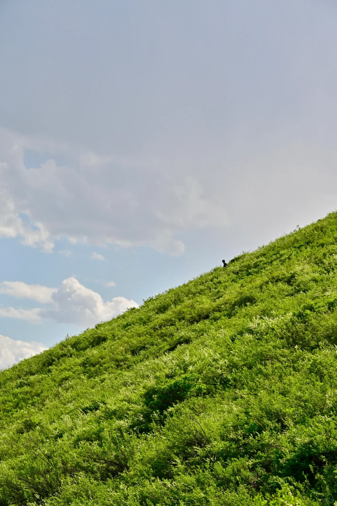 新疆北疆大环线旅游 02| 禾木村游玩攻略！
