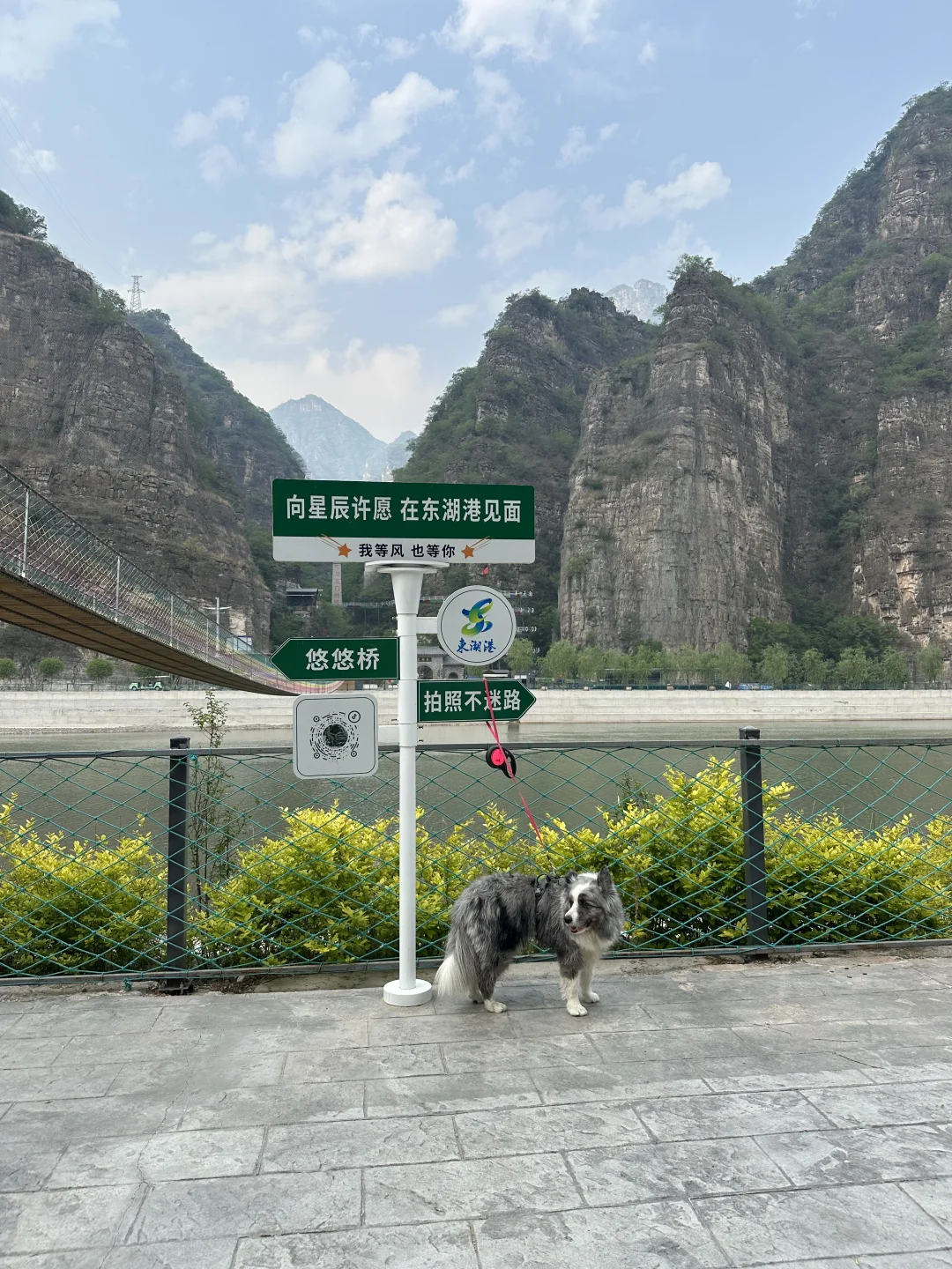 北京房山带狗景区-十渡东湖港景区