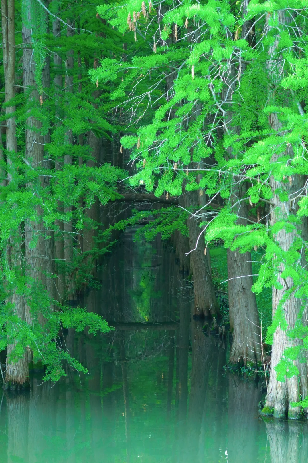 五一假期 | 淮安必打卡景点