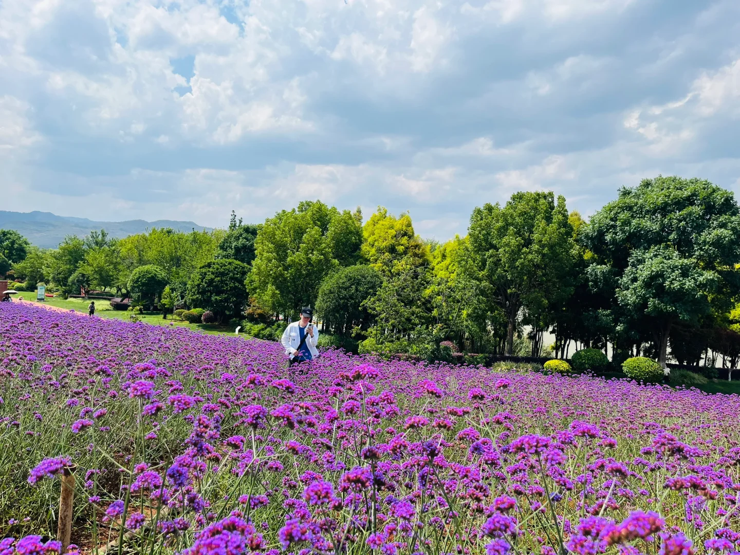 那一年我重生了