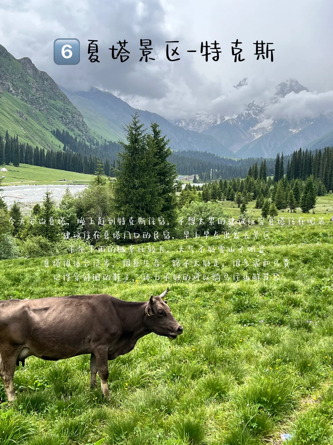 新疆旅游攻略🏔️||九天八晚 人均6k