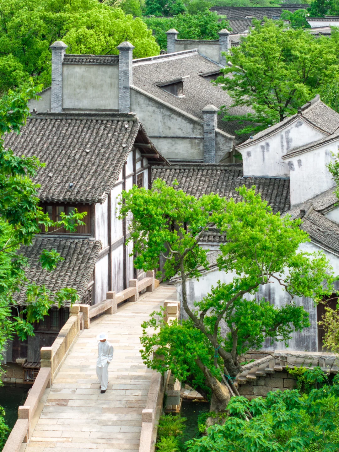 后悔才来😭我很少用“震撼”形容一个地方