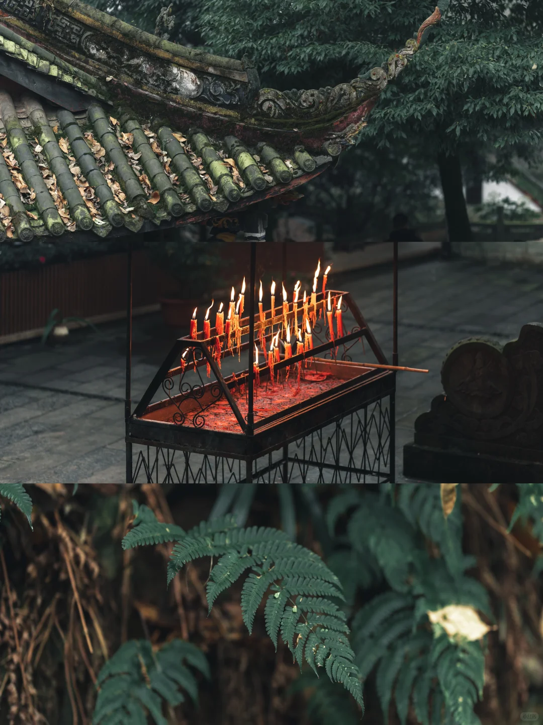 📷拜水都江堰，问道青城山