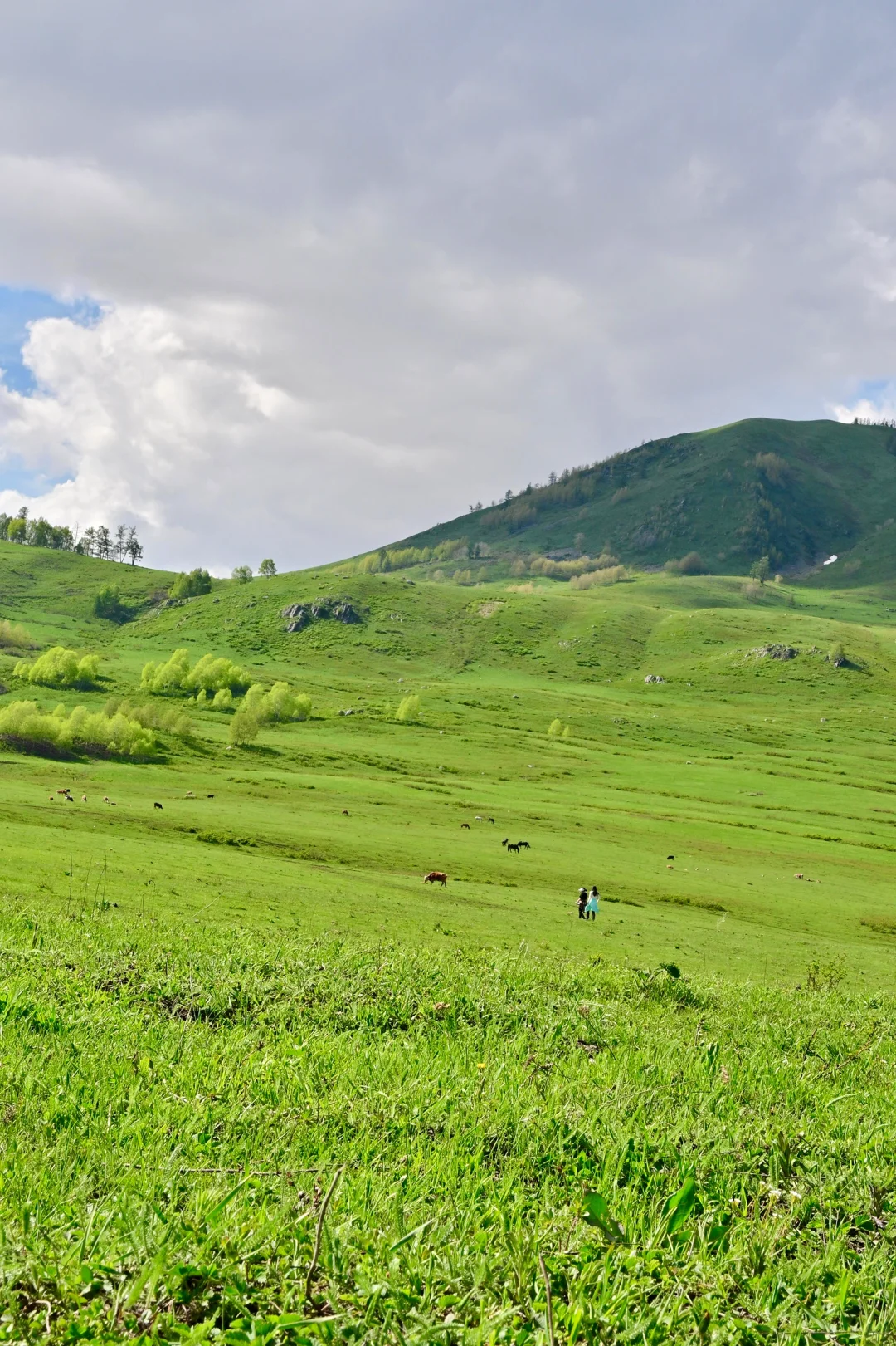新疆北疆大环线旅游 02| 禾木村游玩攻略！
