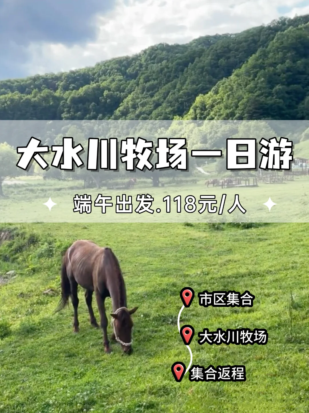 大水川一日游｜西安出发！牧场×高山草甸！