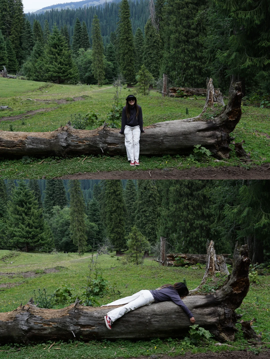 伊犁草原真没必要去太多