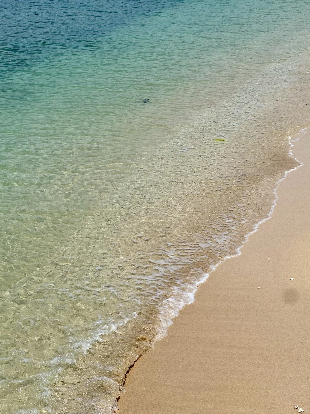 三亚4天3晚…被自己做的攻略满意哭了🥹