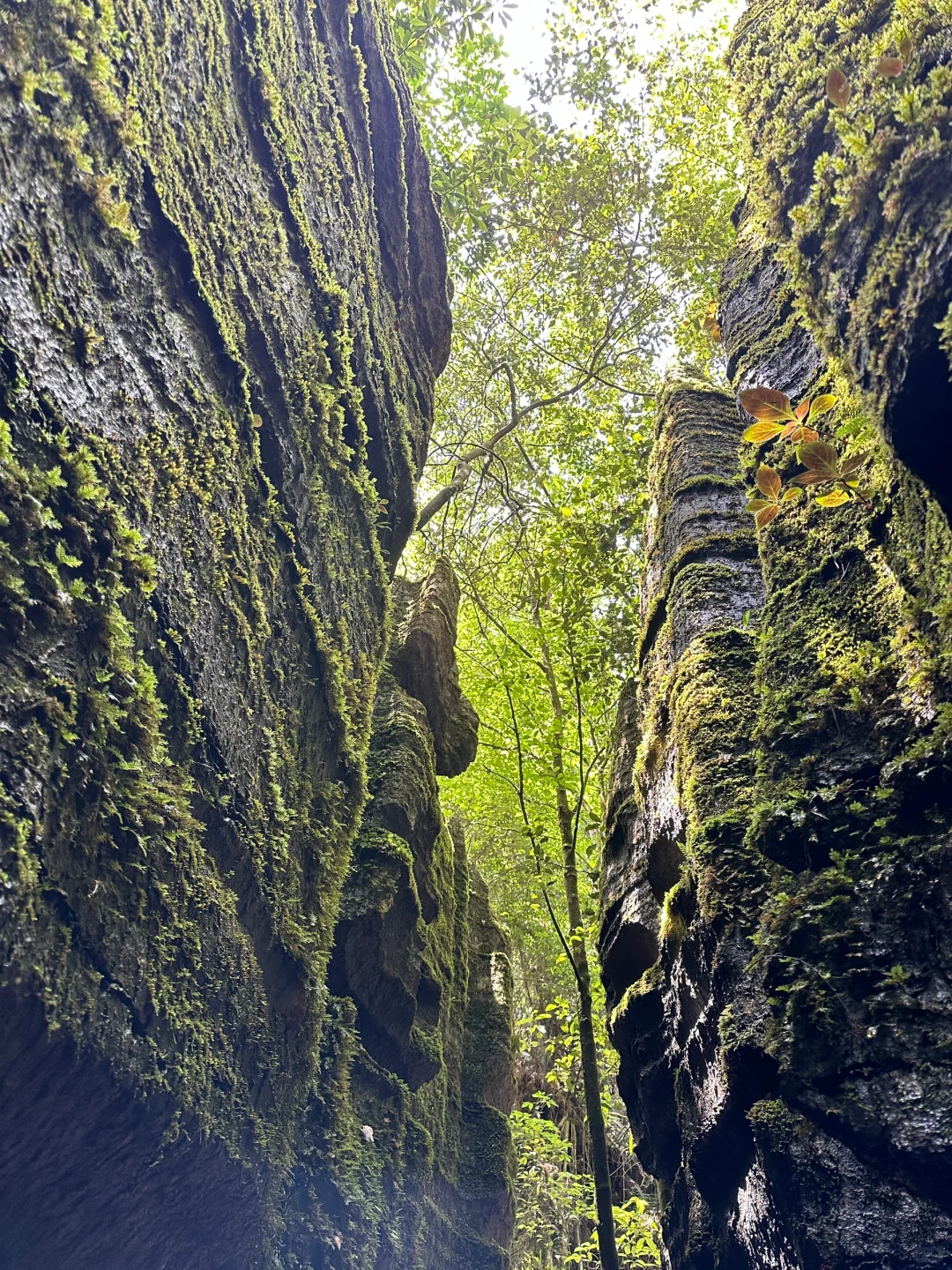 🌄 恩施4日游详细精华旅游攻略