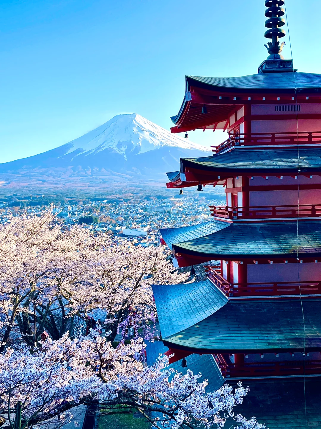 🇯🇵富士山打卡攻略🗻机位美食这一篇就够啦