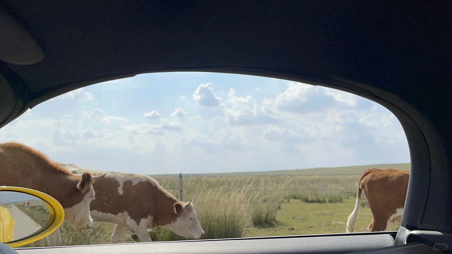 有人问正蓝旗的旅游攻略,也出来啦