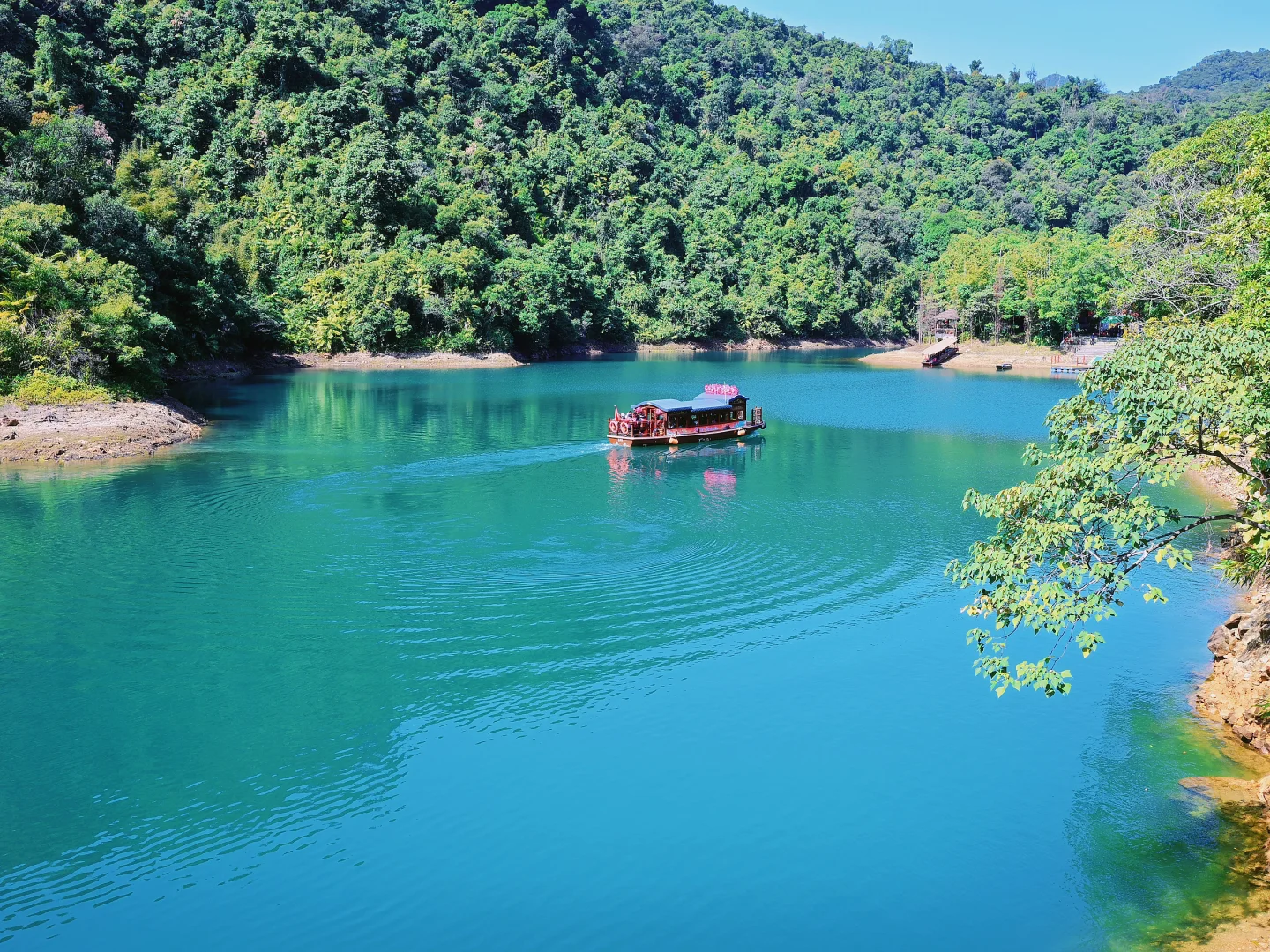 肇庆鼎湖山真的美到我心巴上了（省钱攻略！）