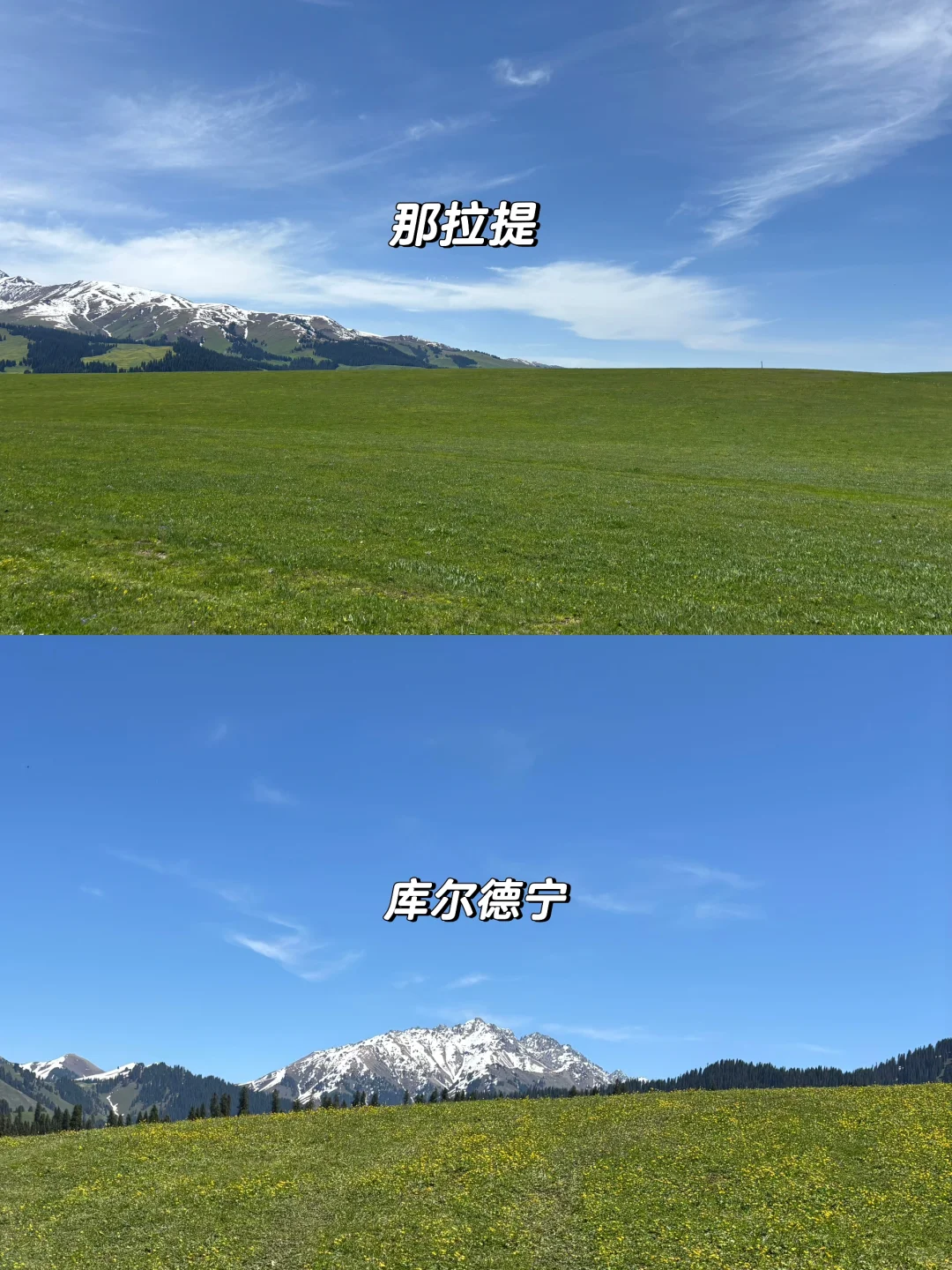 知道大家为什么避雷那拉提了（不是避雷帖）