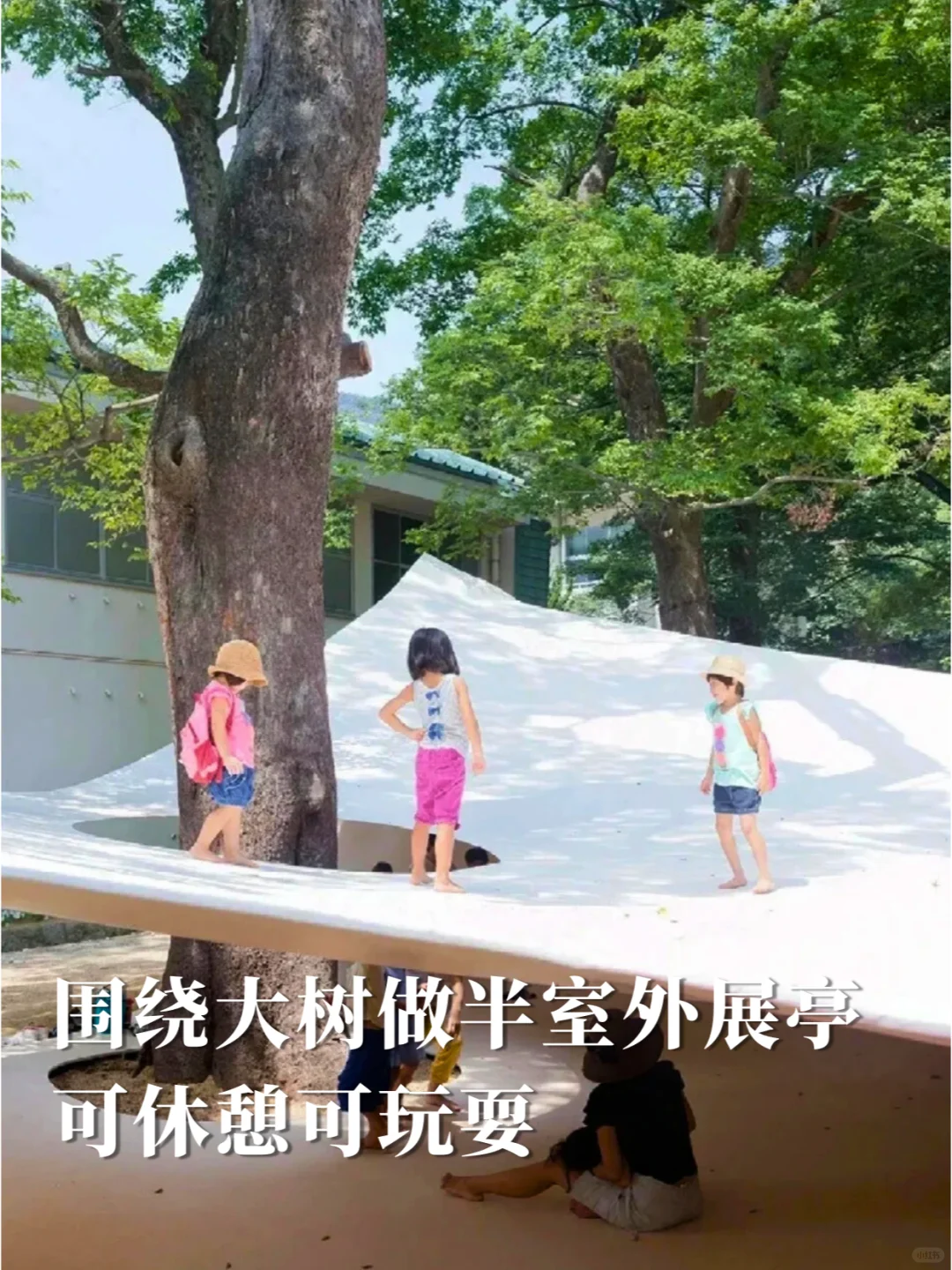 如果你有一棵树，怎么打造网红场景？