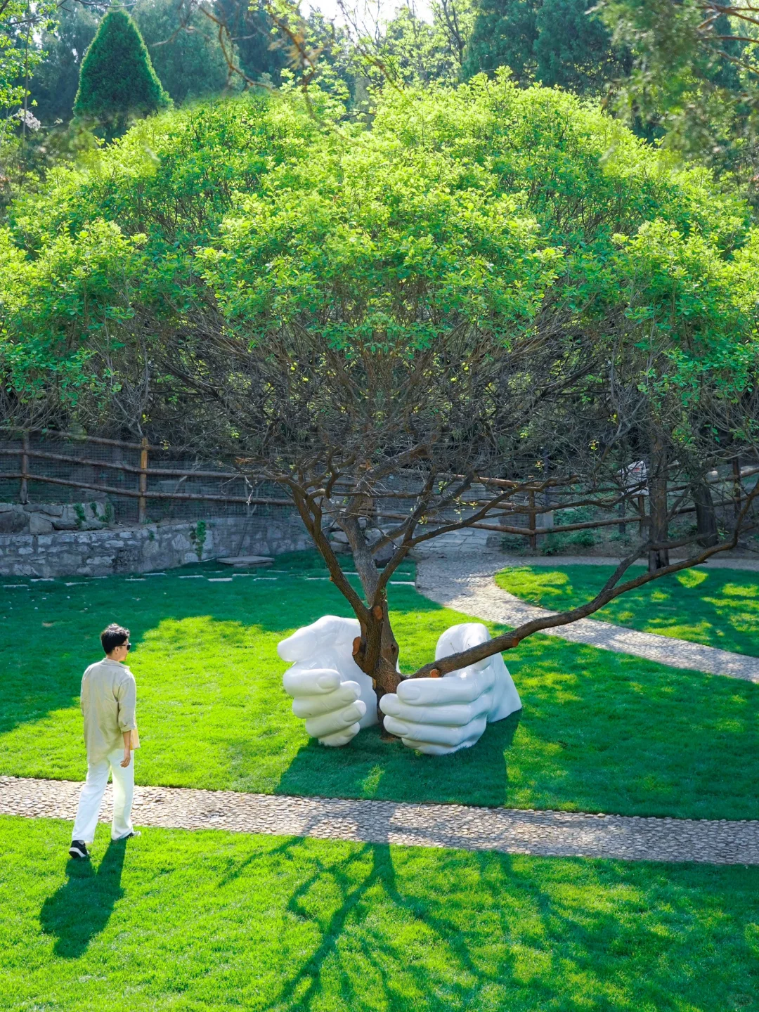 25年的淄博成旅游城市了🔥本地人都愣住了