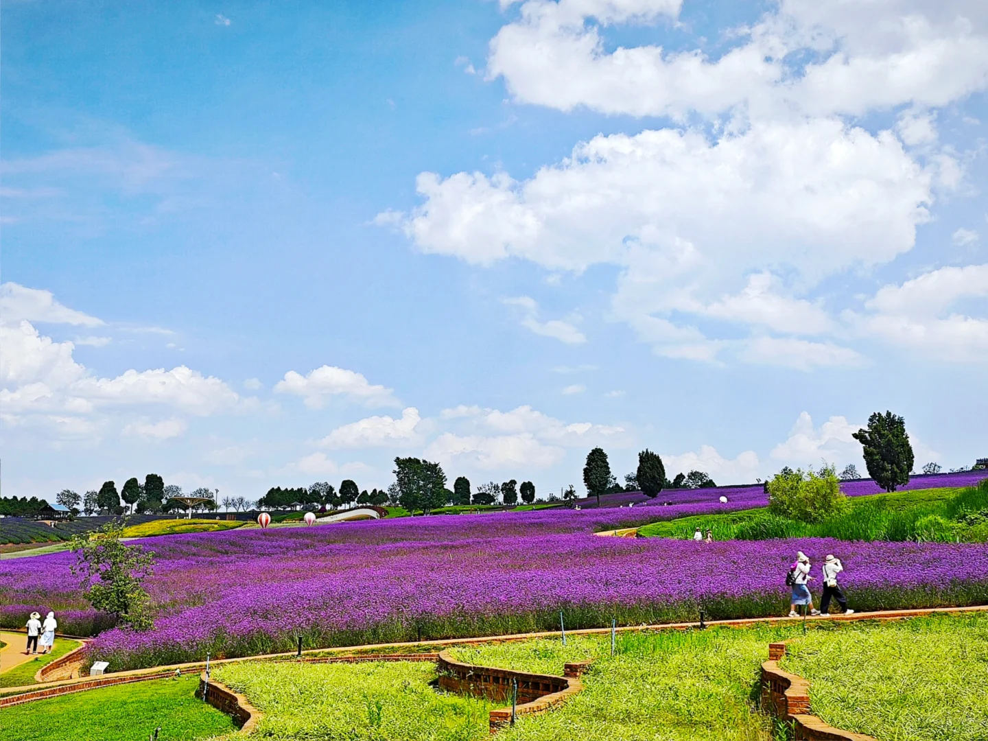 那一年我重生了