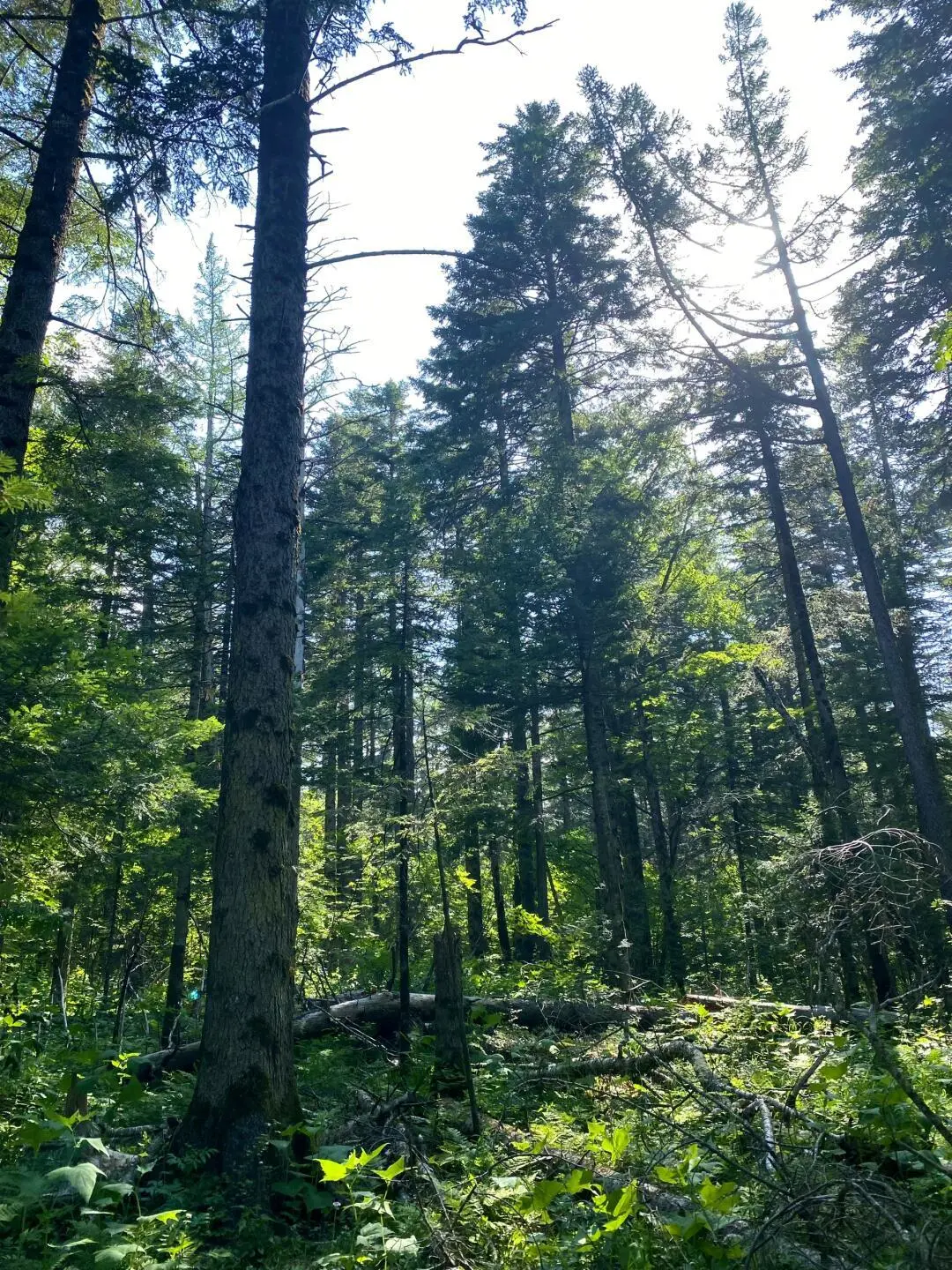 中国必去的第六站长白山