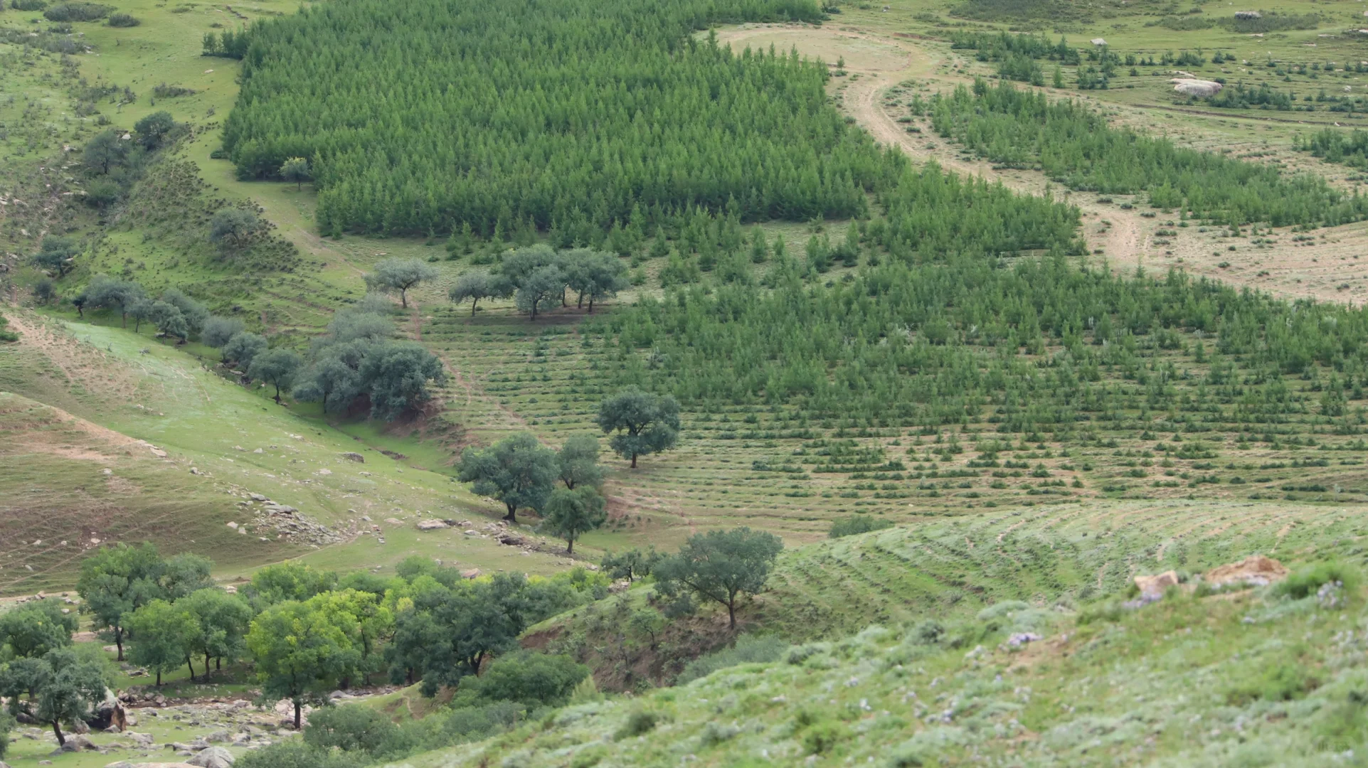 突然火爆的大青山 成为今年北京户外圈压轴