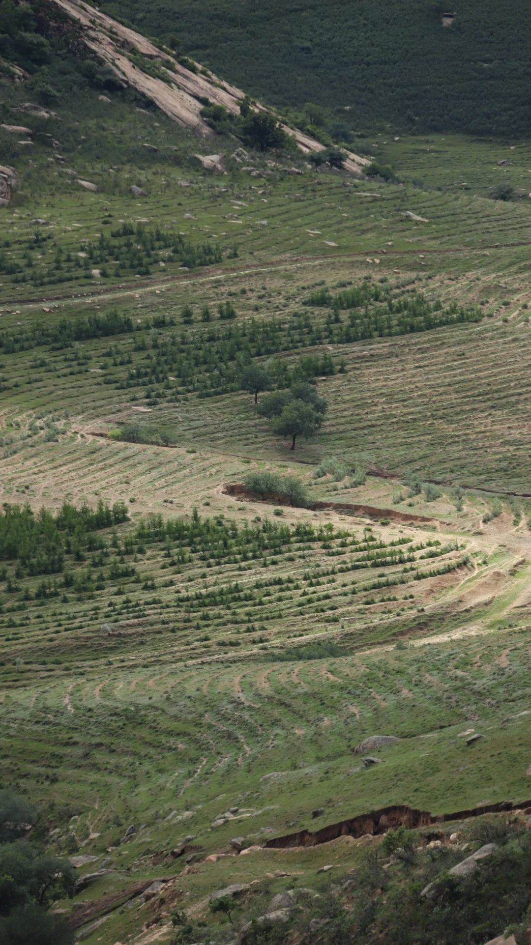 突然火爆的大青山 成为今年北京户外圈压轴