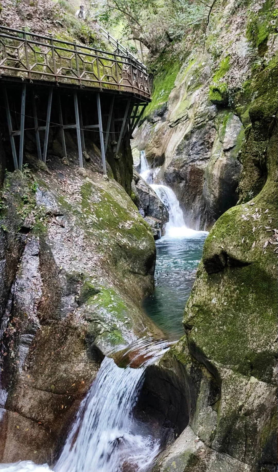 闯入5月绿野仙踪！