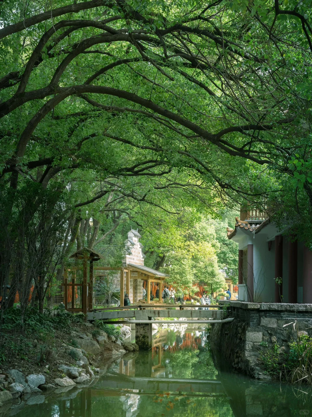 🥺又在江西见世面的一天。。。