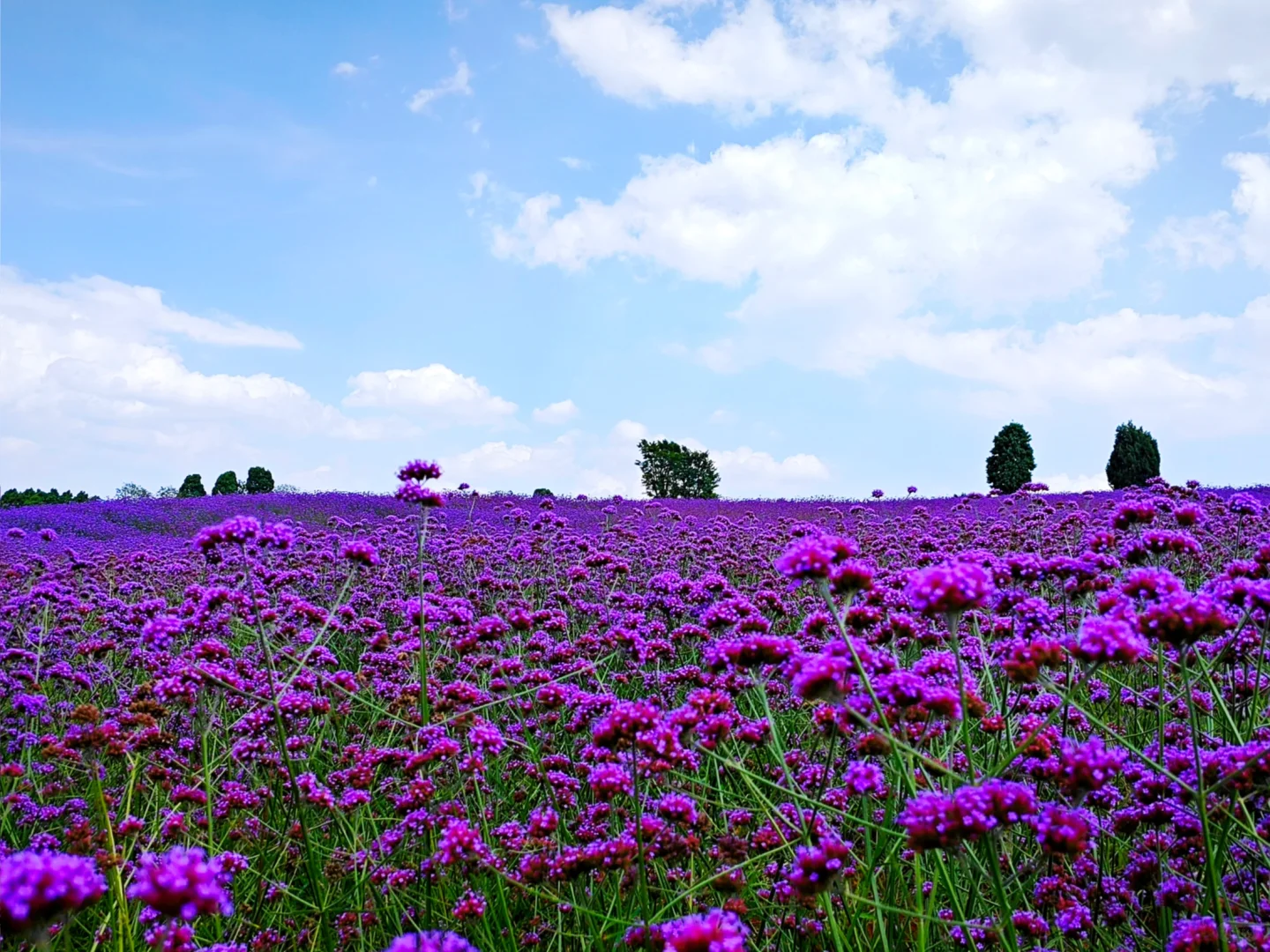 那一年我重生了