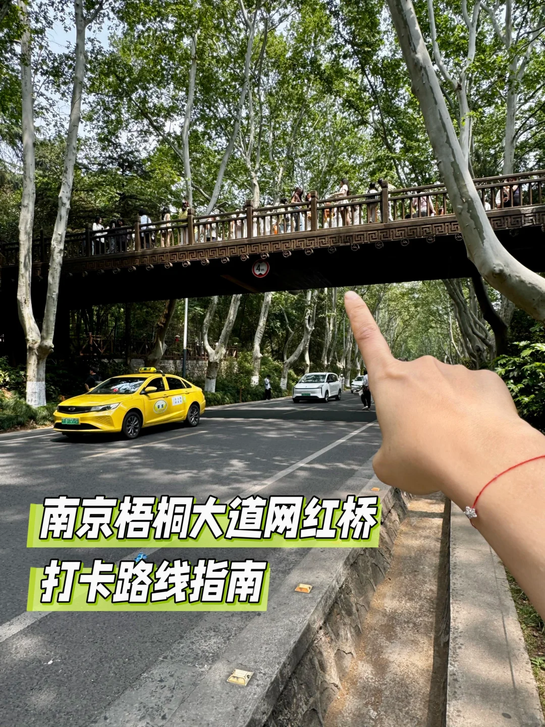 南京梧桐大道网红桥打卡路线指南（步行版）