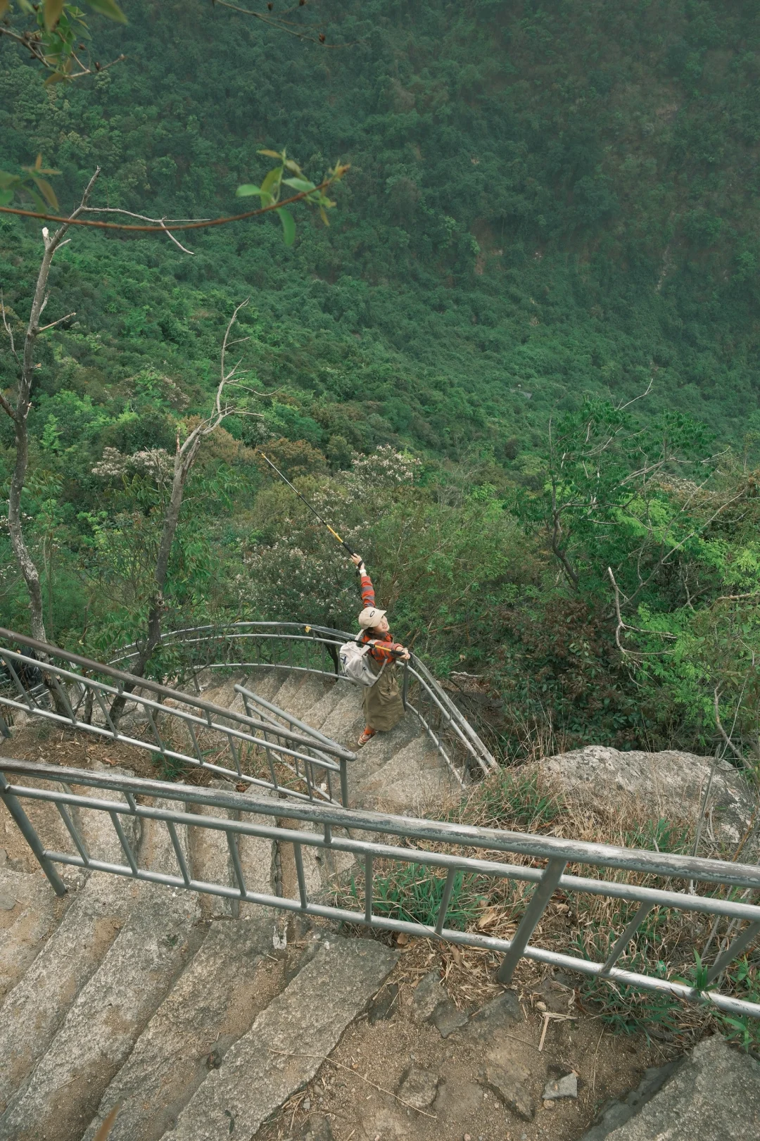 深圳📍 藏在森林的古塔秘境，仅1%知道
