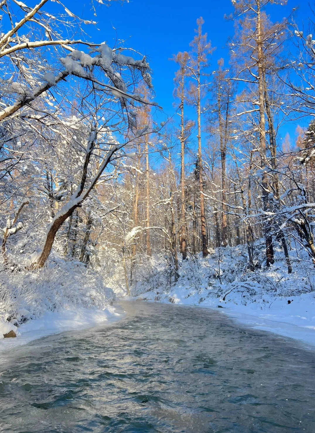 中国必去的第六站长白山