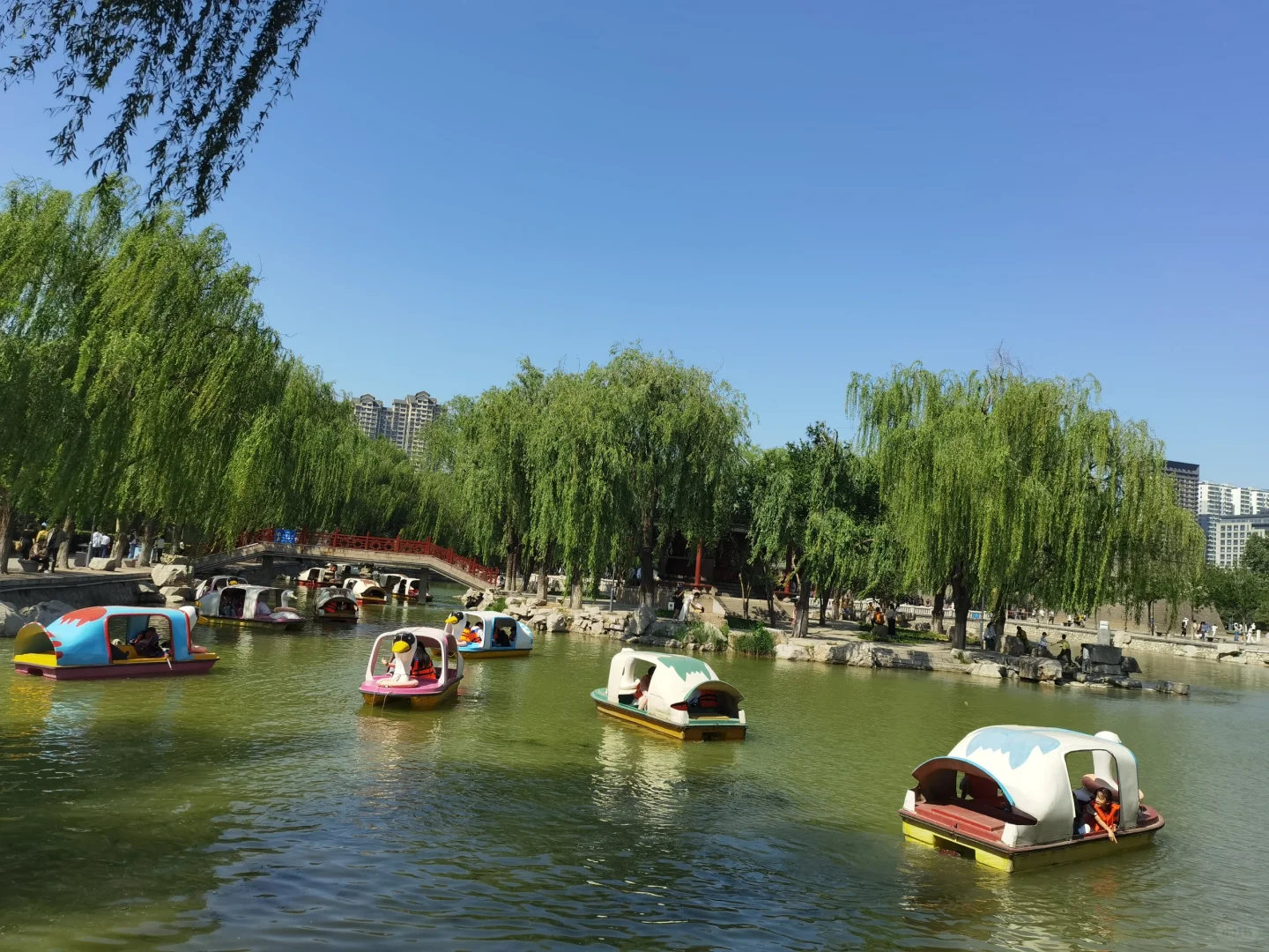 到了邯郸才懂了它的美