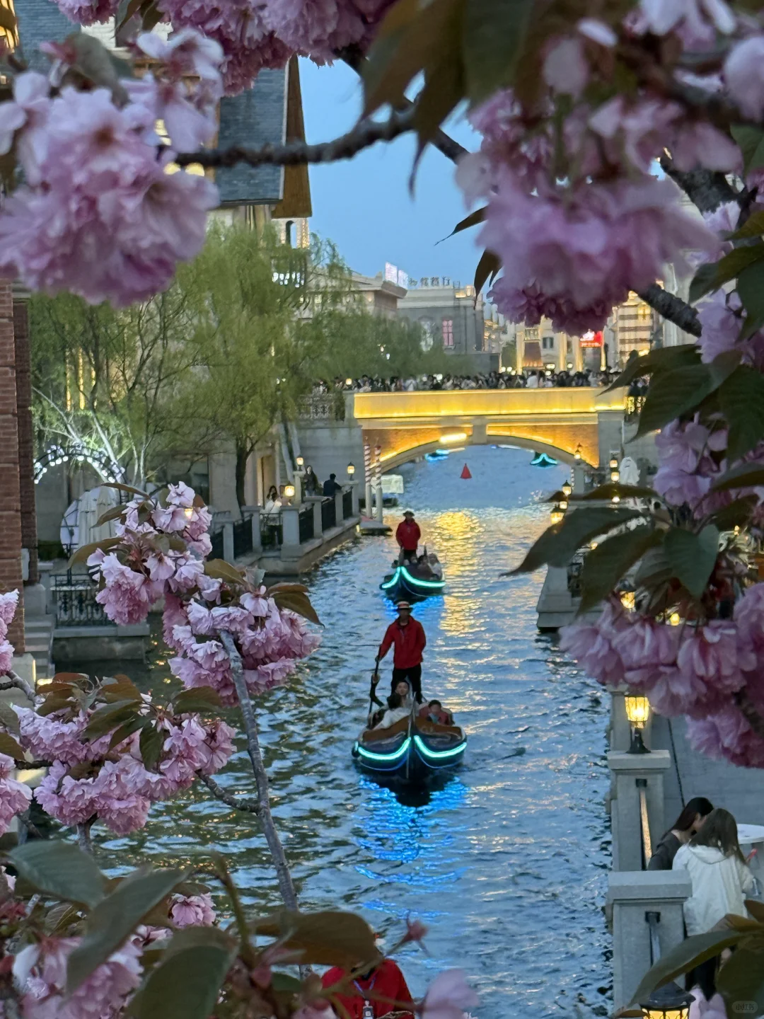 06女大大连旅游（超详细攻略版）