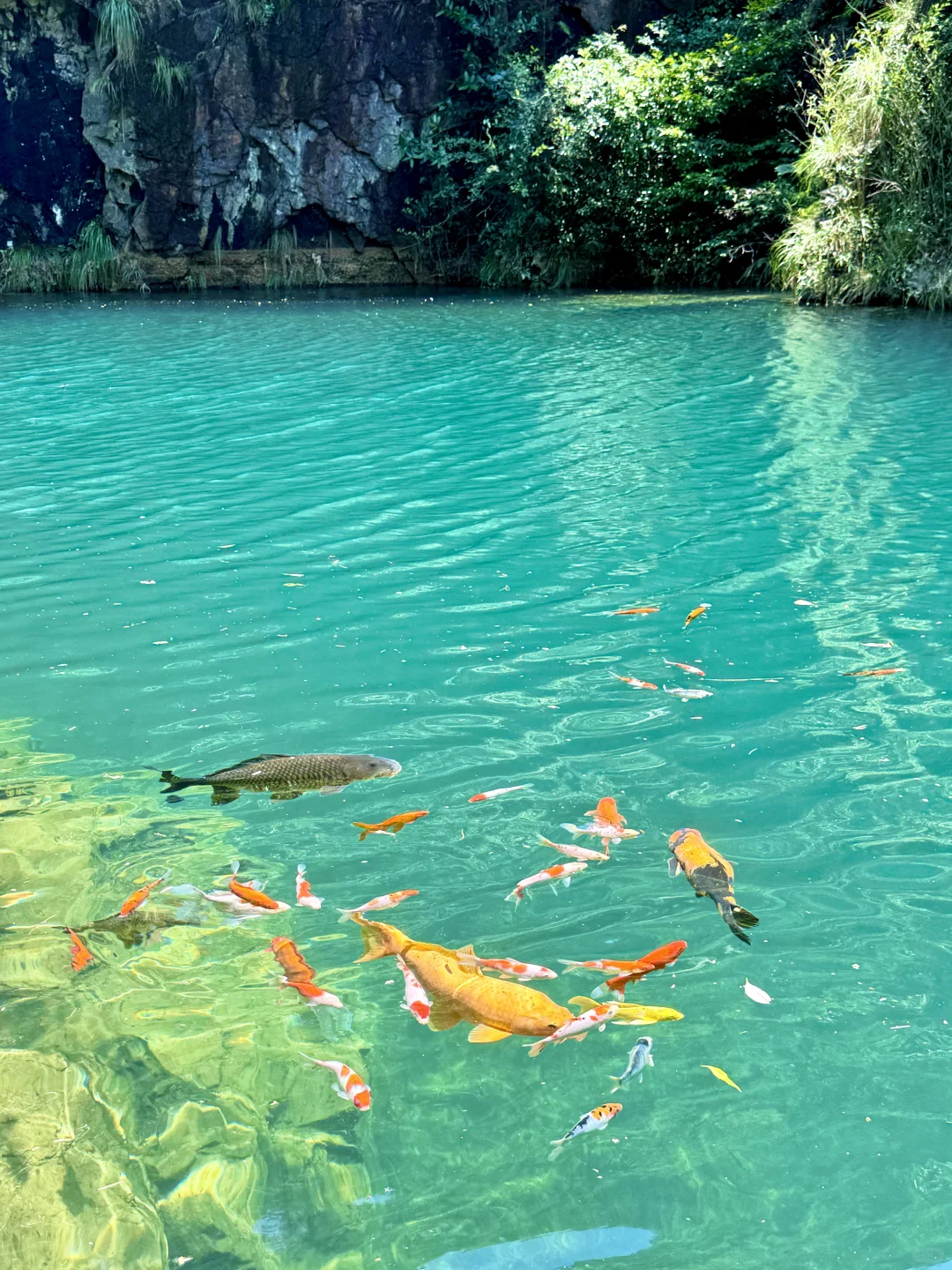 不是九寨沟！这是杭州！！16 ℃避暑胜地🍃
