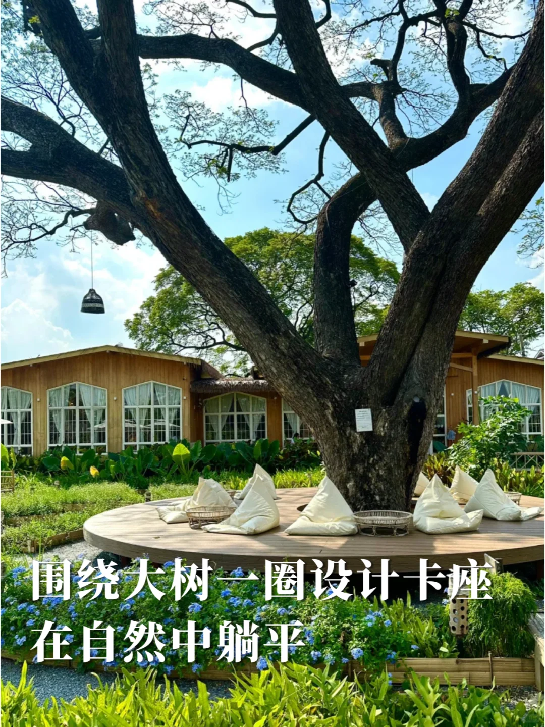 如果你有一棵树，怎么打造网红场景？