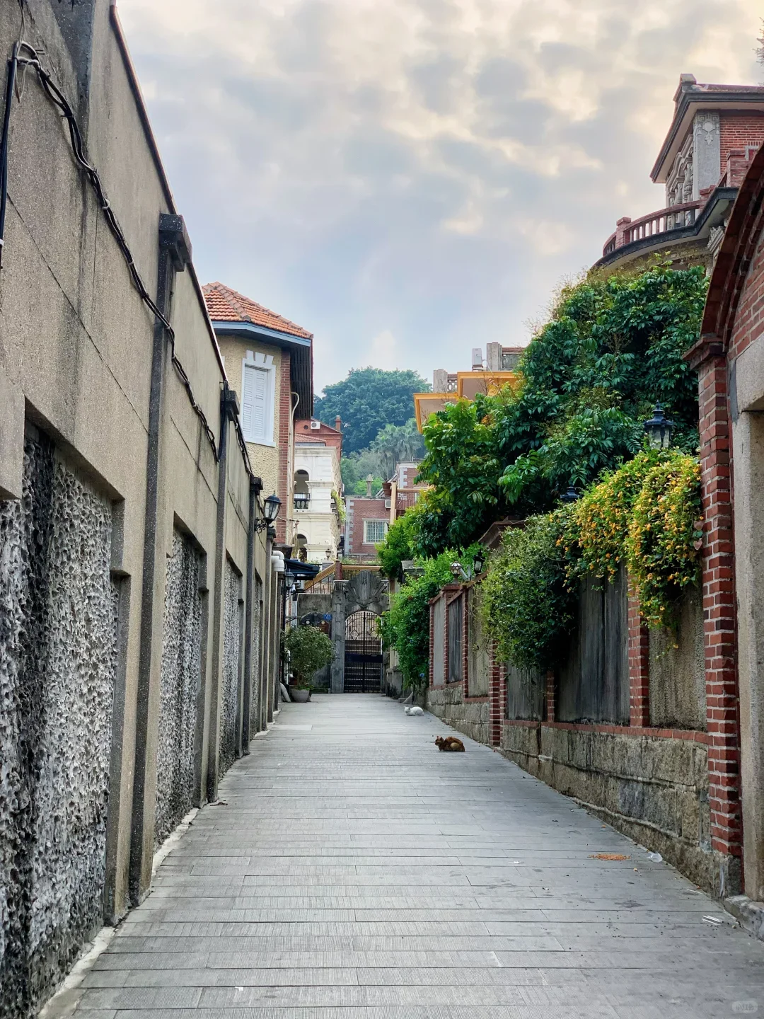 厦门旅游攻略，直接抄作业✓