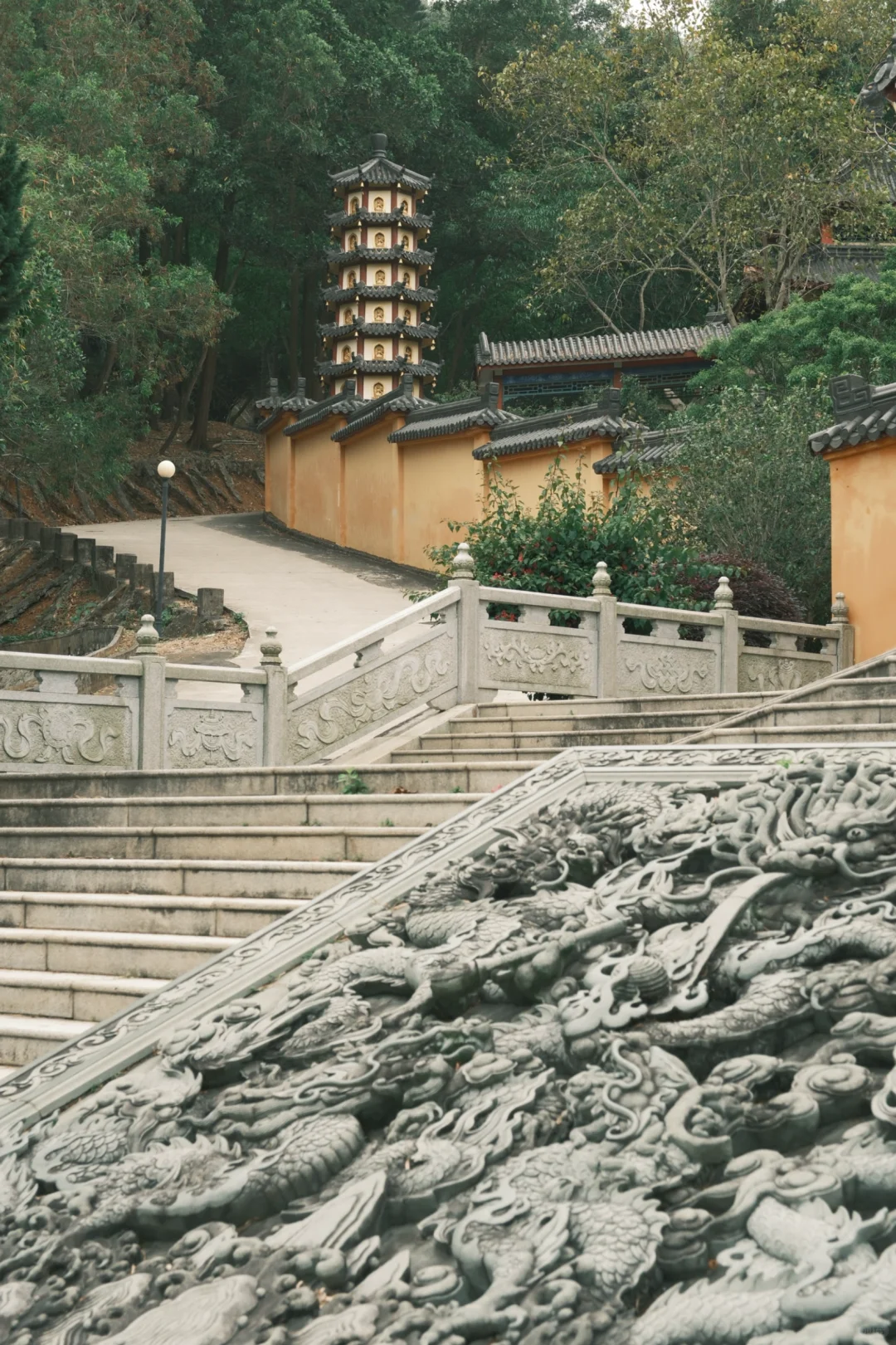 深圳📍 藏在森林的古塔秘境，仅1%知道