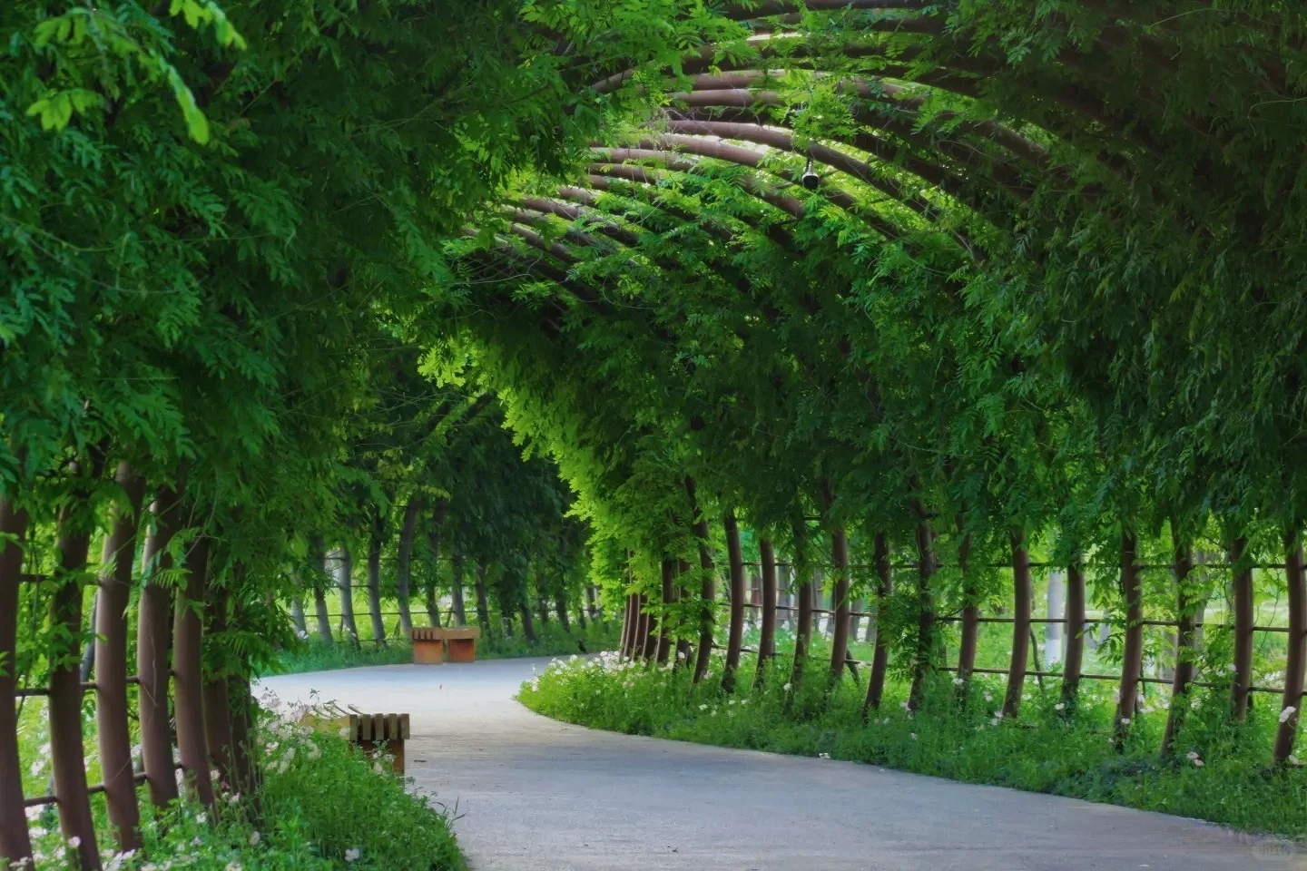 误入“宫崎骏漫画”世界