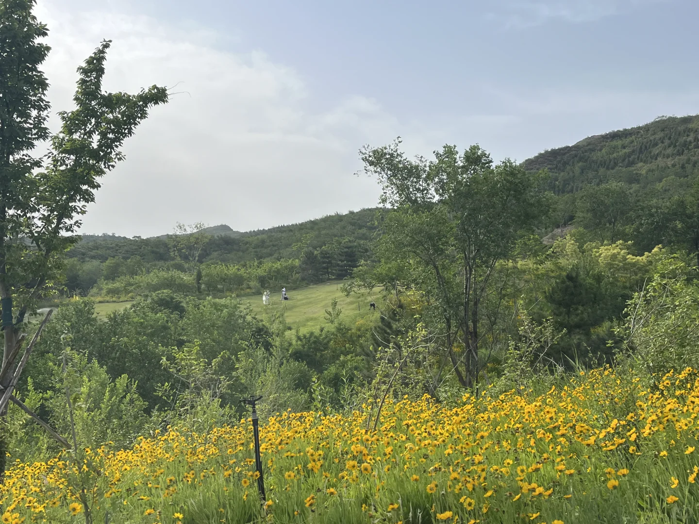 邯郸近郊宝藏景区，周末好去处。