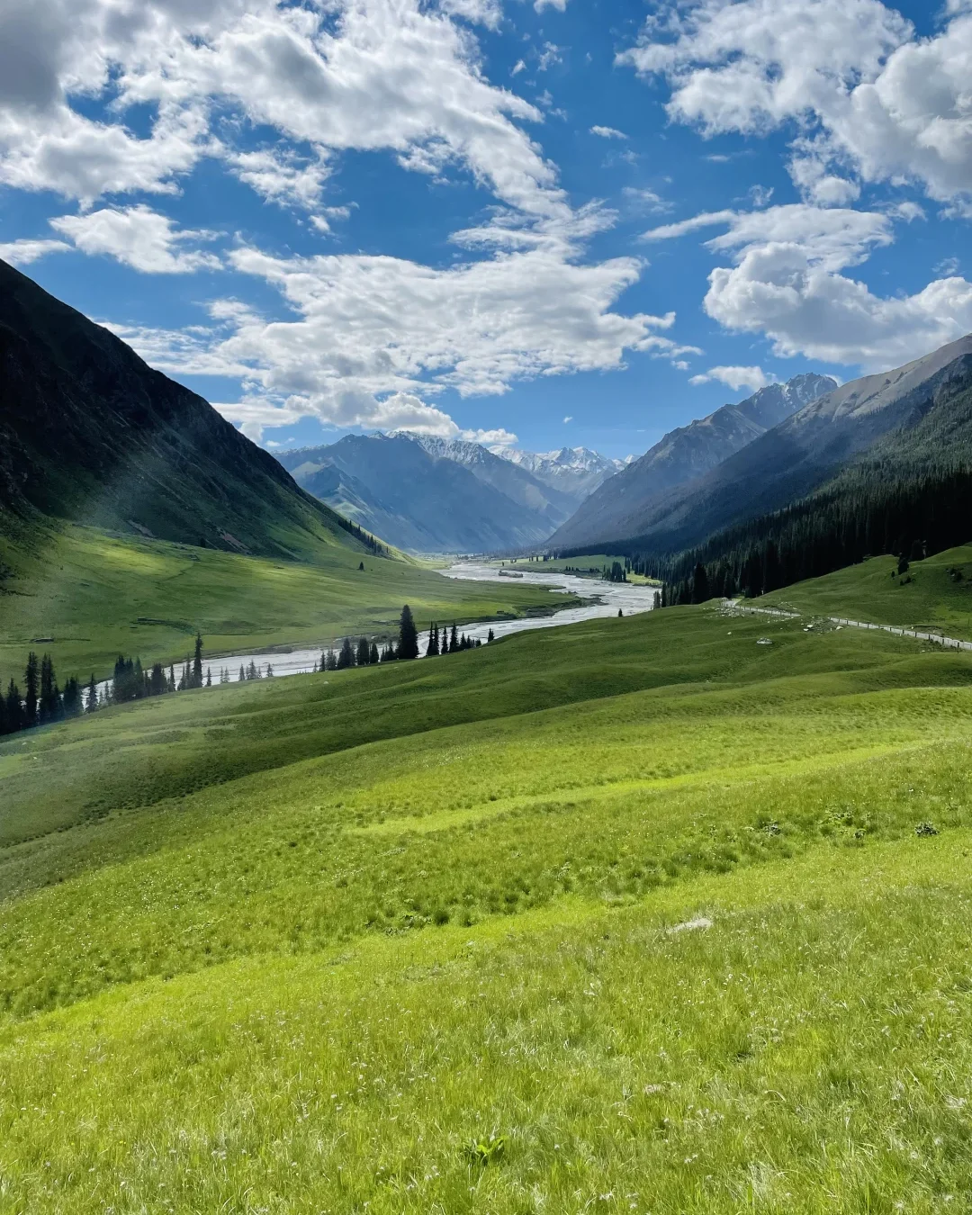 实话难听,但这就是新疆旅游真实现状😥