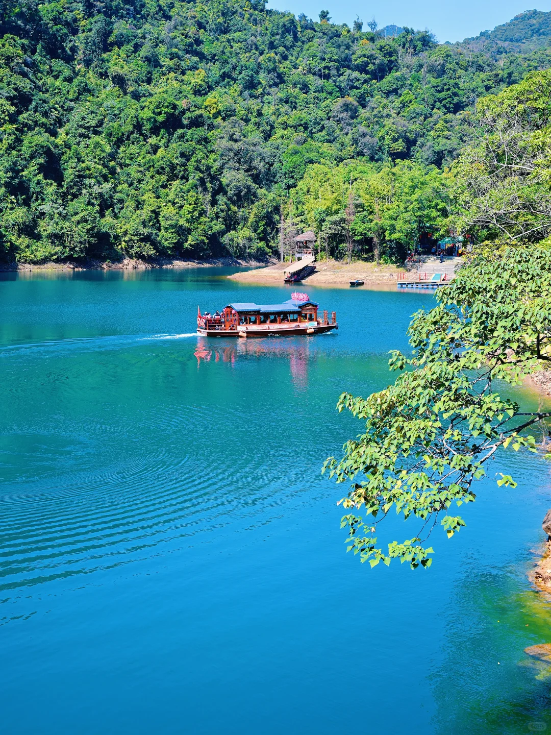 肇庆鼎湖山真的美到我心巴上了（省钱攻略！）