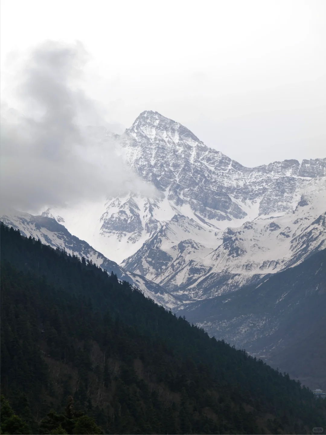 🍃黄龙·九寨 五彩池很美，但下次不来了