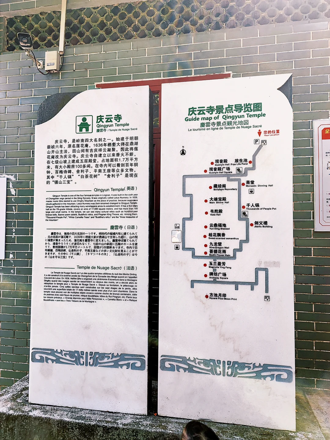 肇庆鼎湖山真的美到我心巴上了（省钱攻略！）