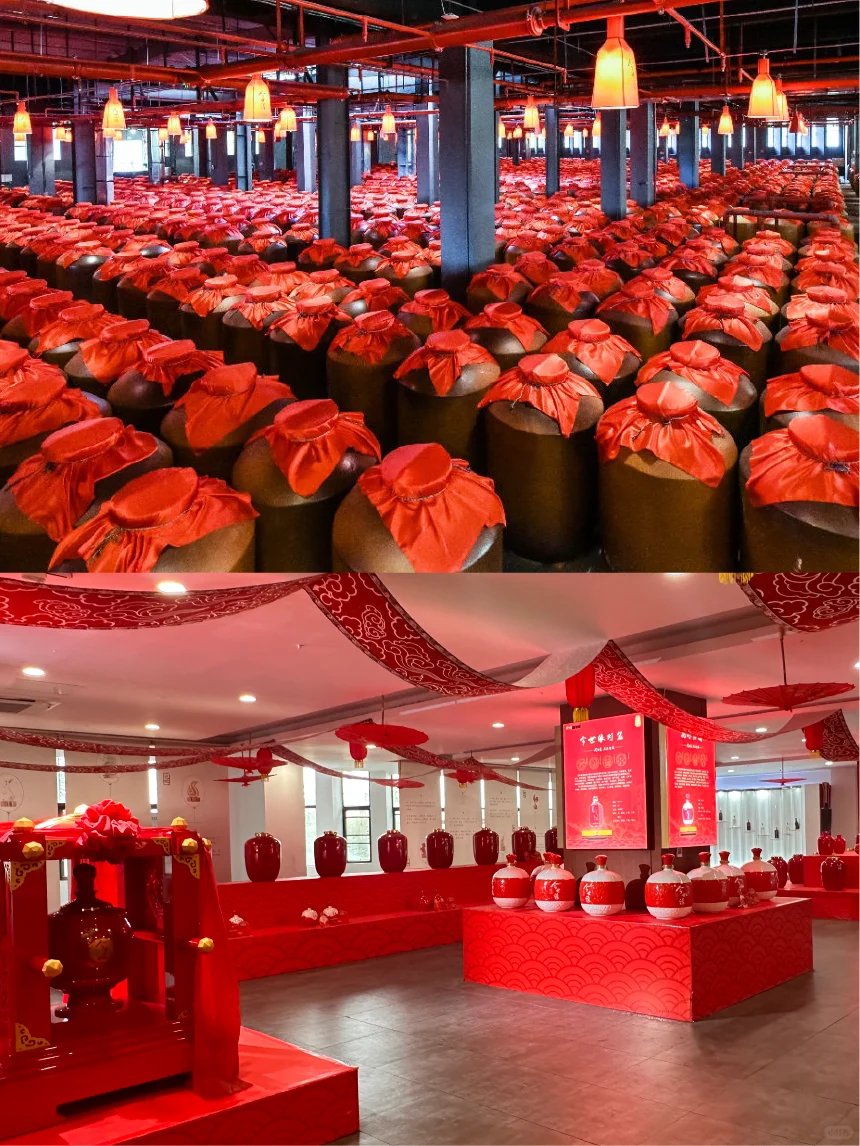 淮安旅游必去十大景点✨今世缘景区超惊艳