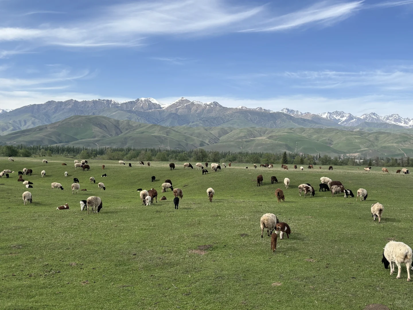 知道大家为什么避雷那拉提了（不是避雷帖）