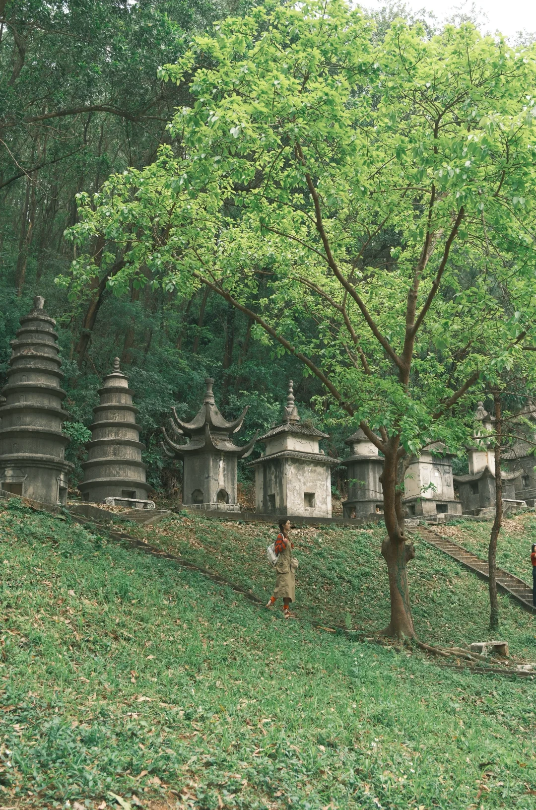 深圳📍 藏在森林的古塔秘境，仅1%知道