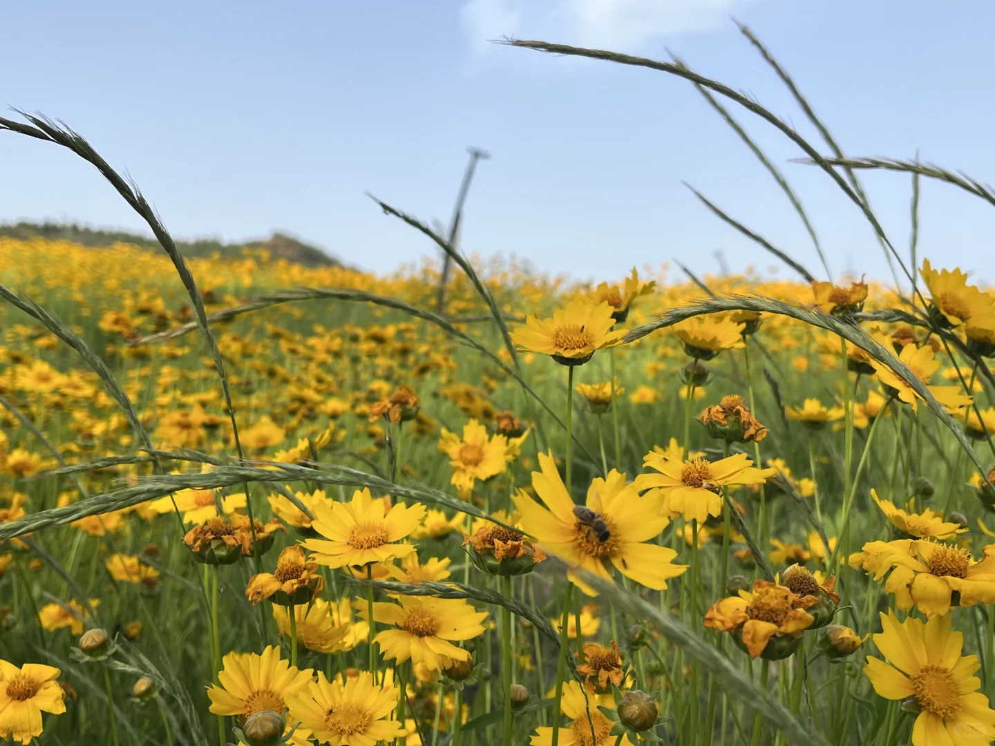邯郸近郊宝藏景区，周末好去处。