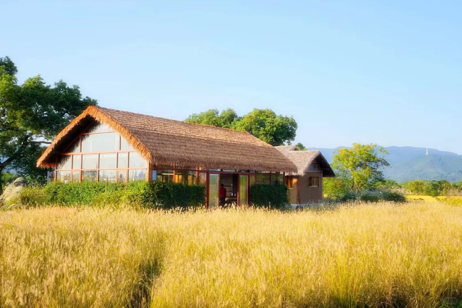 误入“宫崎骏漫画”世界